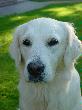 DSC00006.JPG